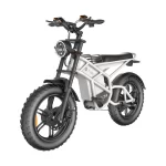 موتور مد pedelec 750w 1500w