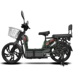 دوچرخه برقی با باتری سرب DISIYUAN OEM 500W 60V12AH 22 - Image 2