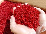 زرشک پفکی با بسته بندی 10 کیلو گرمی